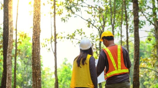 Forest management could reduce carbon dioxide emissions by billions of tons a year: Study