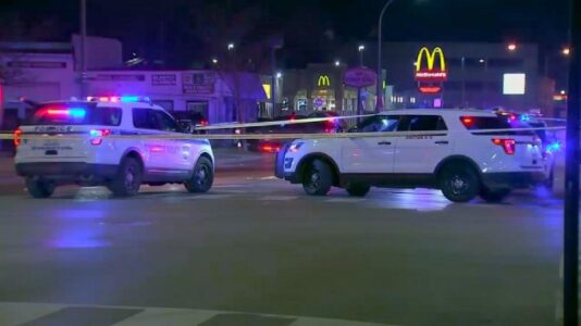 Four dead following shooting spree in Chicago area