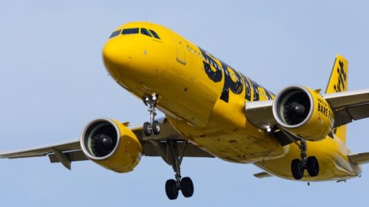 Spirit agent hospitalized, passengers arrested after bag dispute