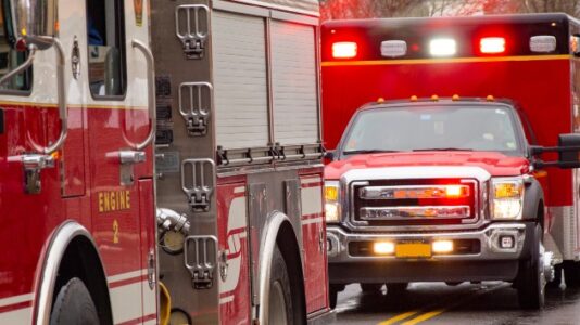 Two dogs credited with saving owner’s life from burning home die in same fire