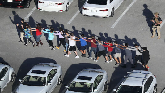 Parkland school shooting 3 years later: Remembering the 17 victims