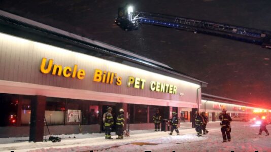 About 100 animals killed in fire at pet store: Officials