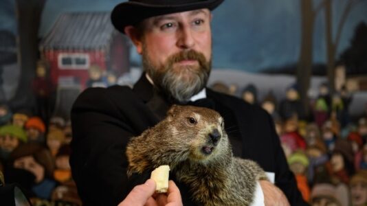 Punxsutawney Phil predicts six more weeks of winter after seeing his shadow at virtual ceremony