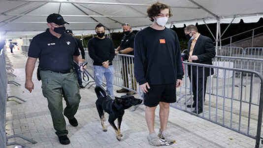 Miami Heat using coronavirus detecting dogs on fans
