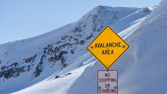 Skier survived avalanche by clinging to tree before saving 2