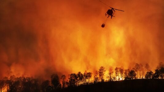California’s Zogg Fire caused by tree hitting PG&E power lines, Cal Fire says