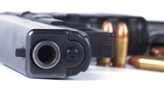 Atlanta spa shootings revive calls for gun reform: ‘This moment has to be different’