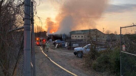 Two giraffes dead after fire engulfs their barn at zoo