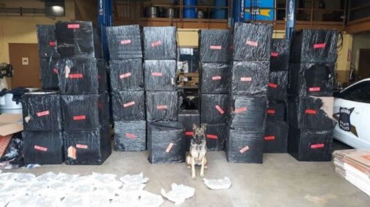 Half-ton of marijuana valued at over $8M found by dog on routine traffic stop