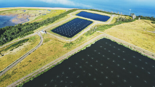 Florida wastewater pond’s ‘imminent’ overflow leads to evacuations and emergency order