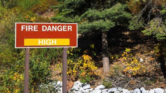 ‘Zombie’ fires could become more common due to climate change, new study suggests