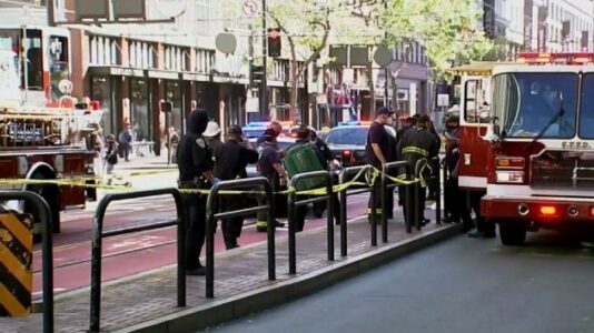 Man charged with premeditated attempted murder in stabbing of two Asian American women