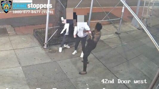 Suspect caught on video attacking Asian woman with hammer in NYC