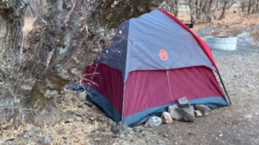 Woman missing for months found alive; foraged for grass, moss to survive: Utah officials