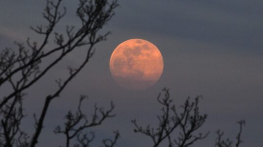 How to watch Thursday night’s ‘Strawberry Moon,’ the last supermoon of 2021