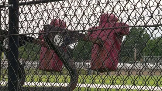 High school football coaches fired after allegedly forcing player to eat pork