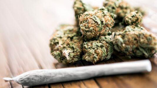 Maine’s legal marijuana market begins to boom as state breaks another sales record