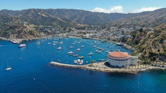 Boy bitten by shark while at Boy Scouts camp near Catalina Island