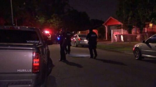 4-year-old girl hit by car at gender reveal party, driver still at large