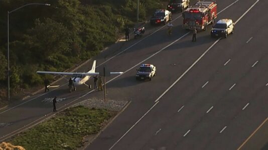 Flight instructor, student make daring emergency landing on California highway