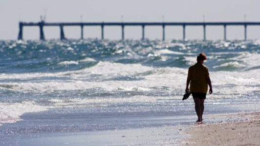 Seven-year-old girl suffers apparent shark bite in North Carolina: Officials