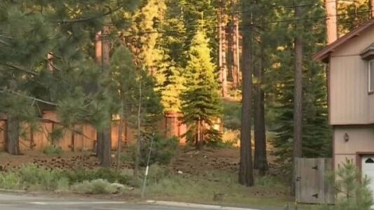 Man shoots bear in self-defense after animal breaks into his home and attacks him