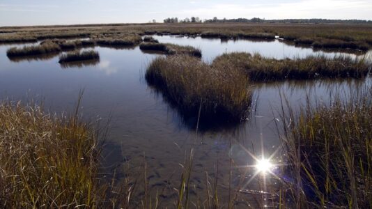 Maryland wildlife refuge fights to protect American history from climate change