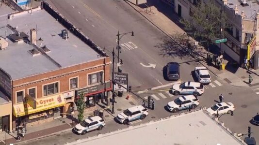 1-month-old, 9-year-old girl shot in the head in separate acts of violence: Chicago police