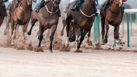 Plea deal for 1 of 2 defendants in horse doping scandal includes $25 million in restitution