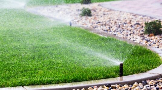 Lawn renovations could play major role in conserving water in West, experts say