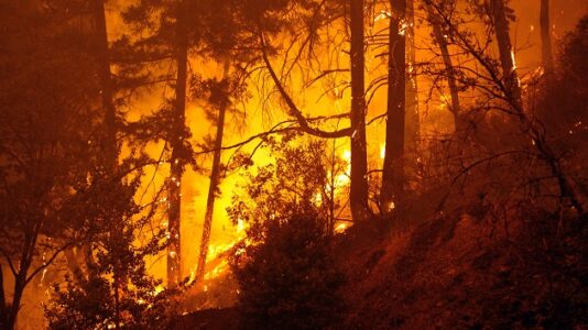 Gusty winds expected to spread massive wildfires in West
