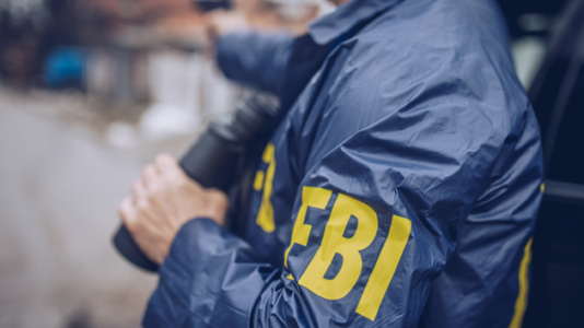 FBI more than doubles domestic terrorism investigations: Christopher Wray