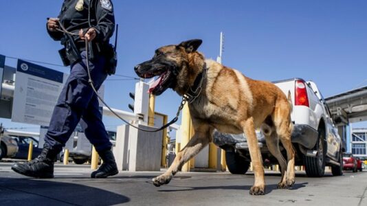 K-9 police units face pressure to change amid drug policy reform