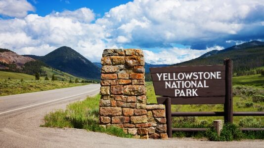 Illinois woman headed to jail for photographing grizzly bears at Yellowstone