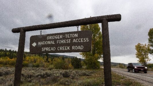 Wyoming coroner set to make announcement on Gabby Petito autopsy