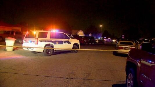 Girl killed by power window in parked car: Police