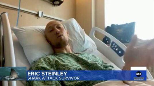 Surfer ‘still in disbelief’ after surviving great white shark attack