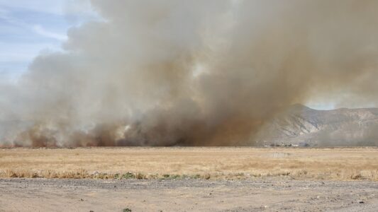 Prescribed Fire Burning in Sevier County