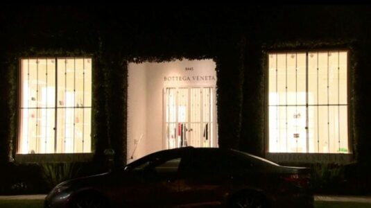 Mall shootings, flash mob thefts mark Black Friday