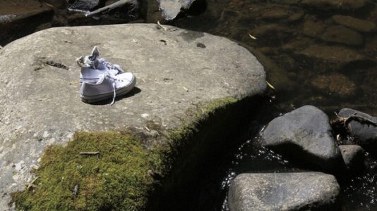 Florida police issue missing child alert for 12-year-old Edilsy Roca, say she could be in ‘danger’