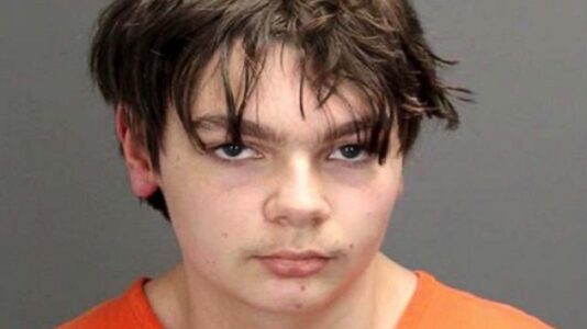 Artist did not knowingly help alleged Michigan school shooter’s parents flee: Lawyer