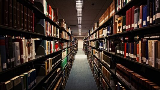 The librarians uniting to battle school book ban laws