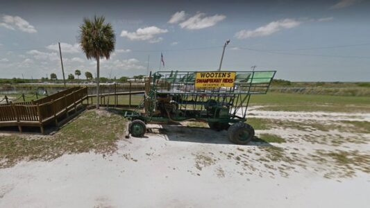 Man attacked by tiger at Florida Everglades attraction, authorities say