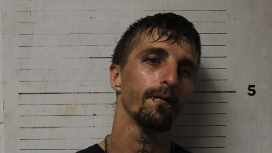 Fast food worker arrested after customer finds bag of methamphetamine in their order