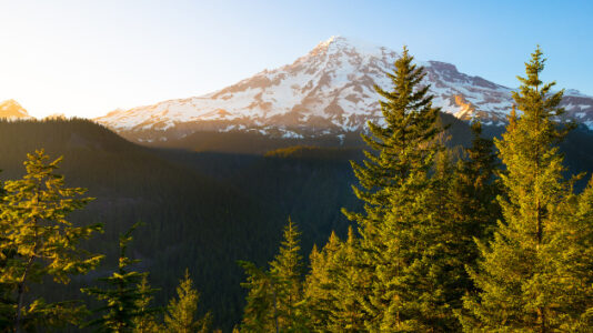 Man falls to his death while climbing one of the highest major peaks in the US