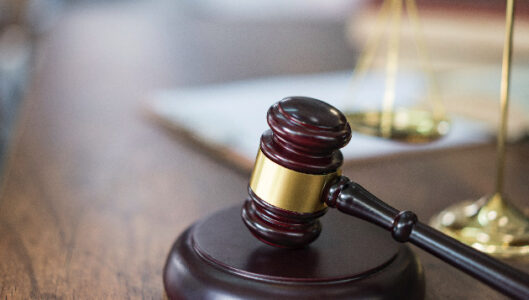 Buffalo supermarket shooter pleads guilty to terrorism and murder charges