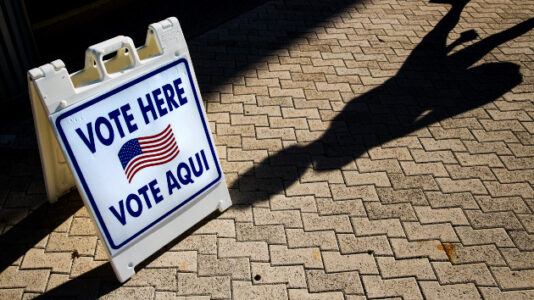 Group accused of voter intimidation must stay clear of ballot boxes, judge rules