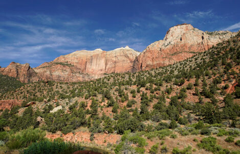 Woman found dead, husband rescued in Utah’s Zion National Park