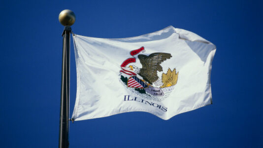 Illinois becomes latest US state to ban assault weapons