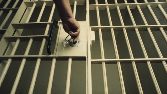 Ana Montes, a former US defense analyst arrested for spying for Cuba, released from federal prison